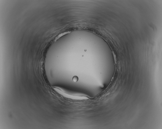 X0000113551010200910091259