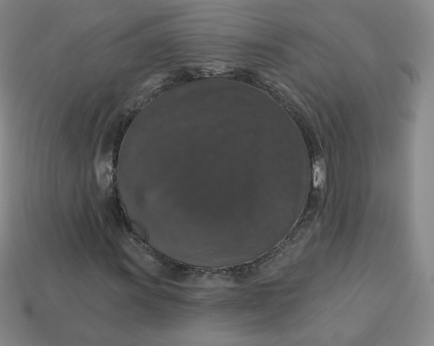 X0000113551011200910091259