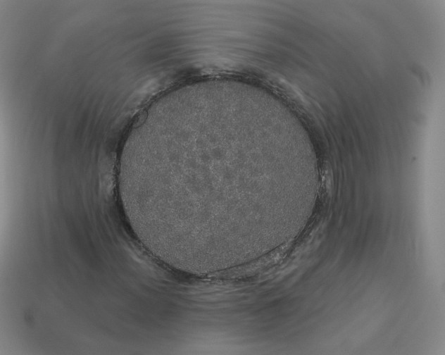 X0000113551012200910091259