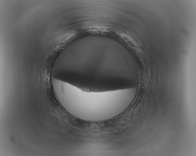 X0000113551013200910091259