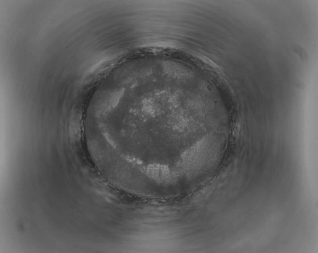 X0000113551014200910091259