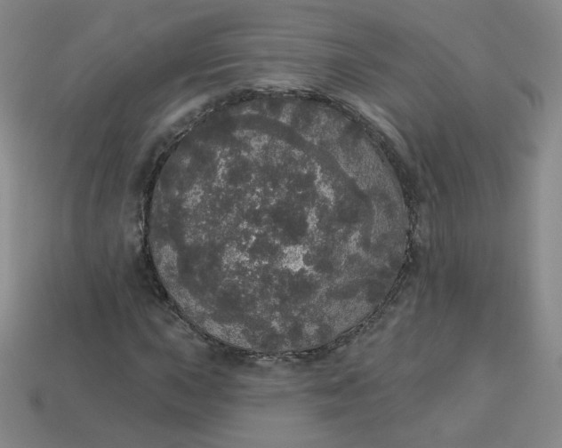 X0000113551015200910091259