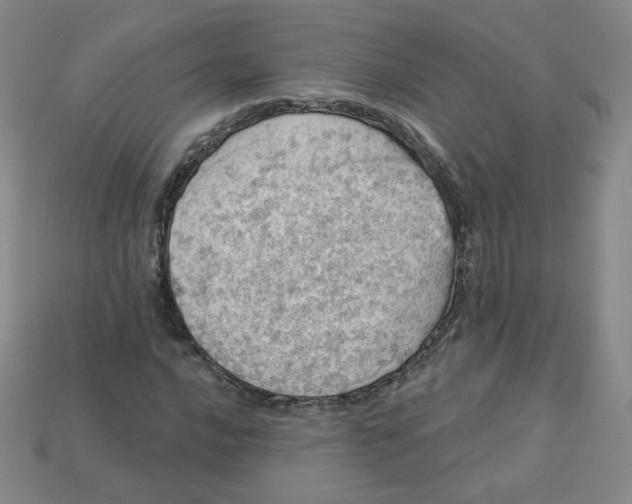 X0000113551016200910091259