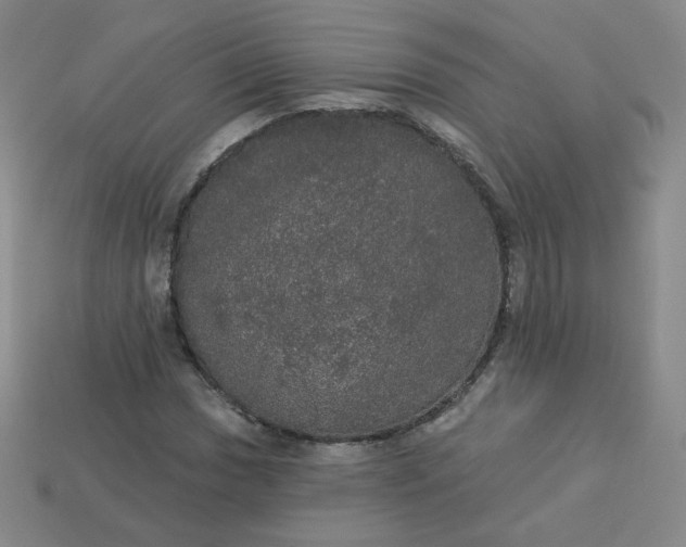 X0000113551017200910091259