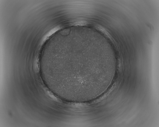 X0000113551018200910091259