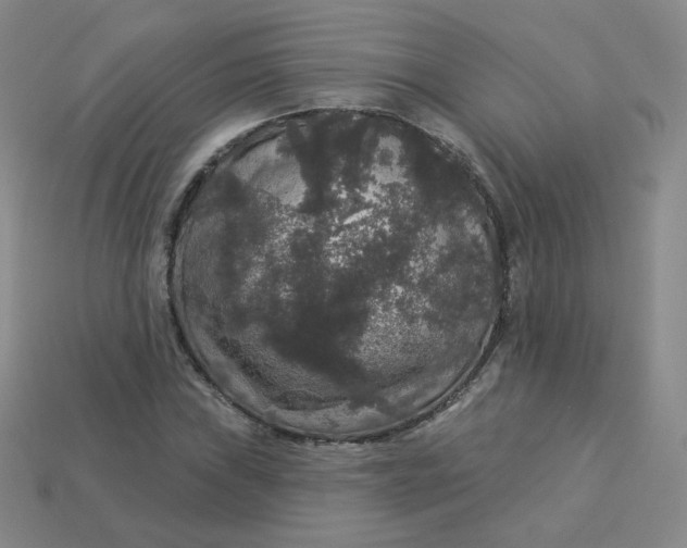 X0000113551019200910091259