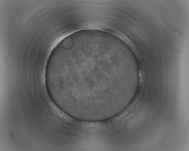 X0000113551020200910091259