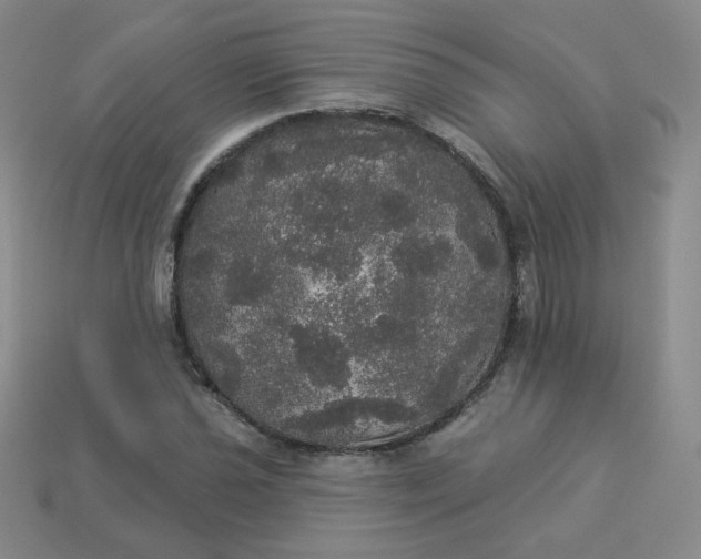 X0000113551021200910091259