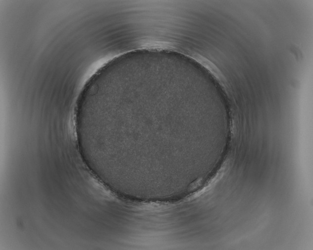 X0000113551022200910091259