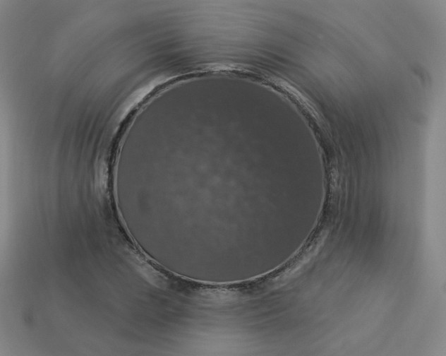 X0000113551023200910091259