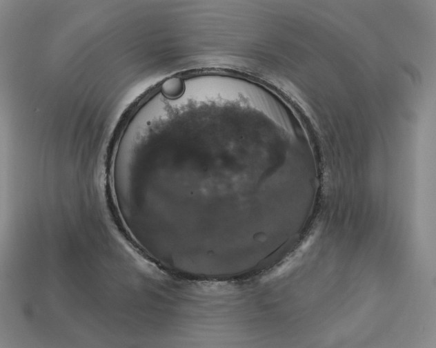 X0000113551024200910091300