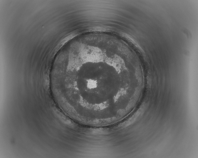 X0000113551025200910091300