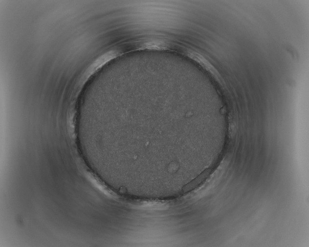 X0000113551026200910091300