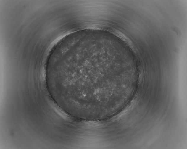 X0000113551027200910091300