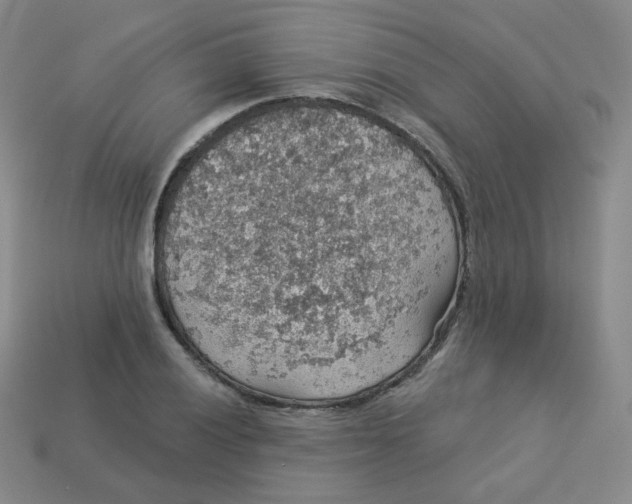 X0000113551028200910091300