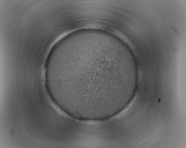 X0000113551029200910091300