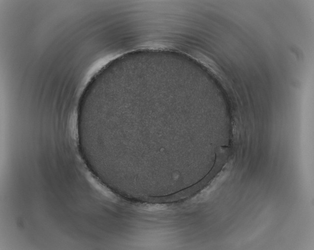 X0000113551030200910091300