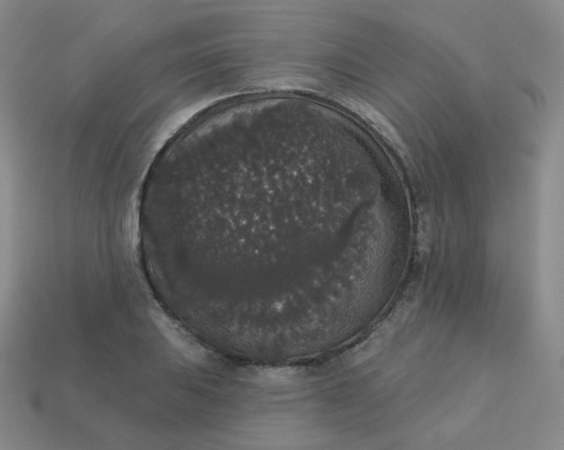 X0000113551031200910091300