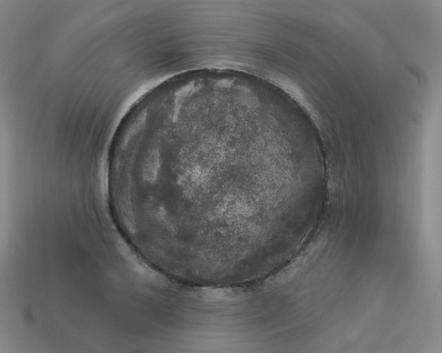 X0000113551032200910091300