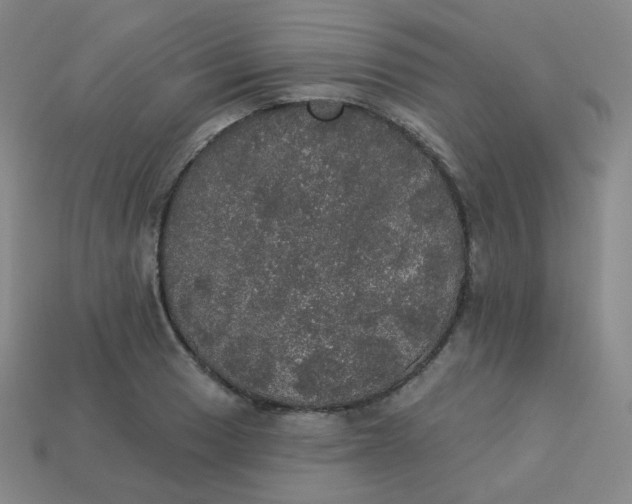 X0000113551033200910091300