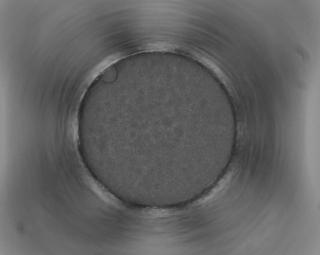 X0000113551034200910091300