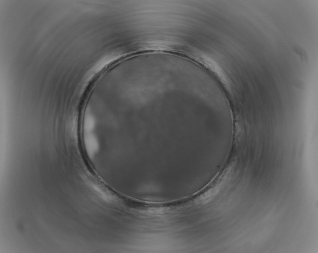 X0000113551035200910091300