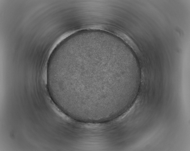 X0000113551036200910091300