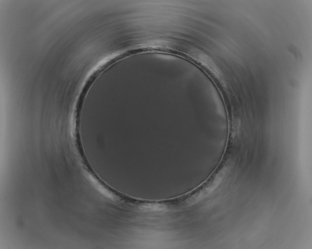 X0000113551037200910091300