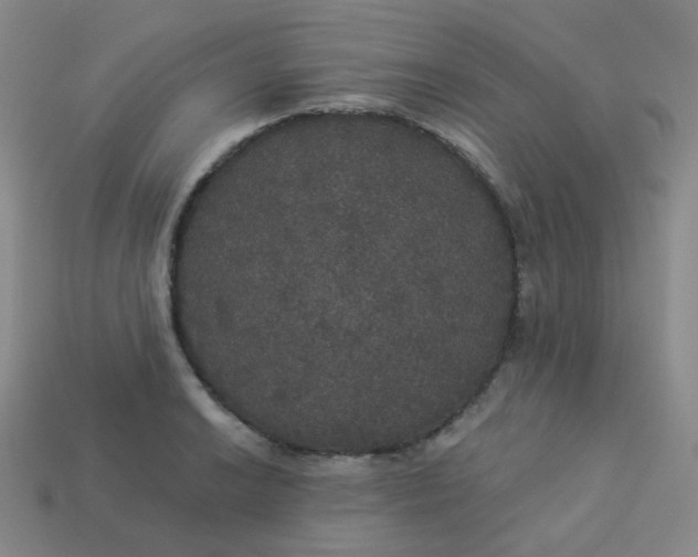 X0000113551038200910091300