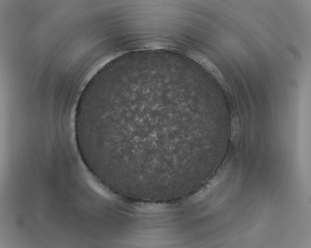 X0000113551039200910091300