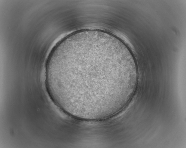 X0000113551040200910091300