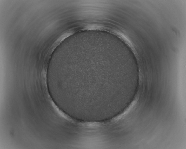 X0000113551041200910091300