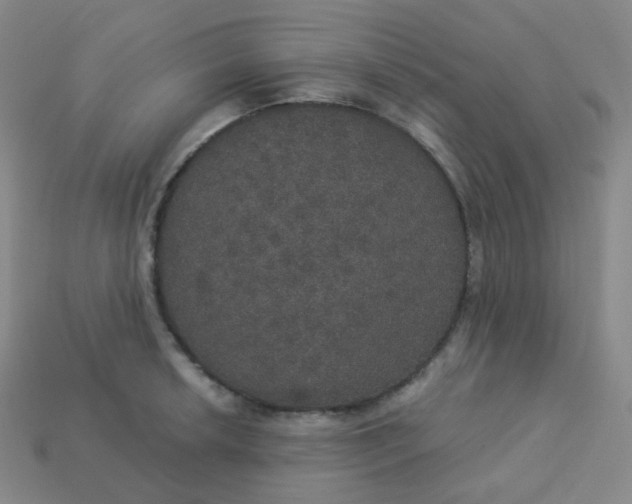 X0000113551042200910091300