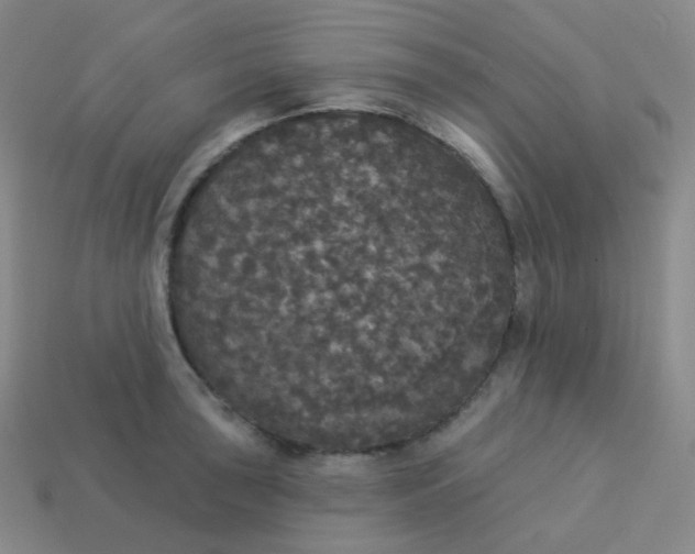 X0000113551043200910091300