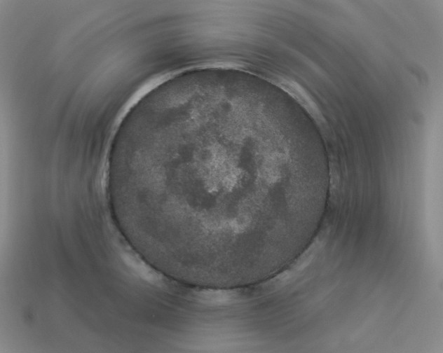 X0000113551044200910091300