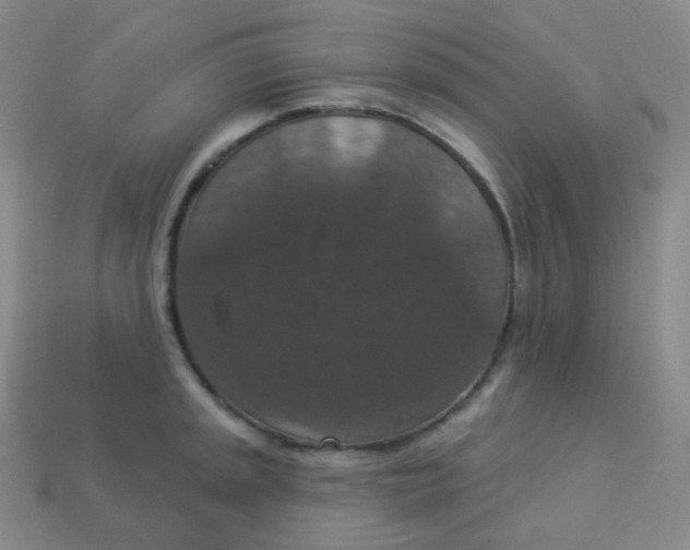 X0000113551045200910091300