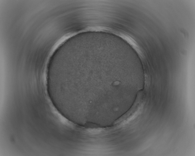 X0000113551046200910091300