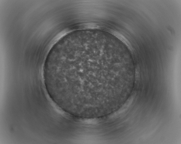 X0000113551047200910091300