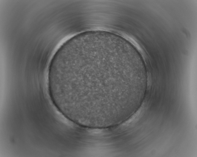 X0000113551048200910091300