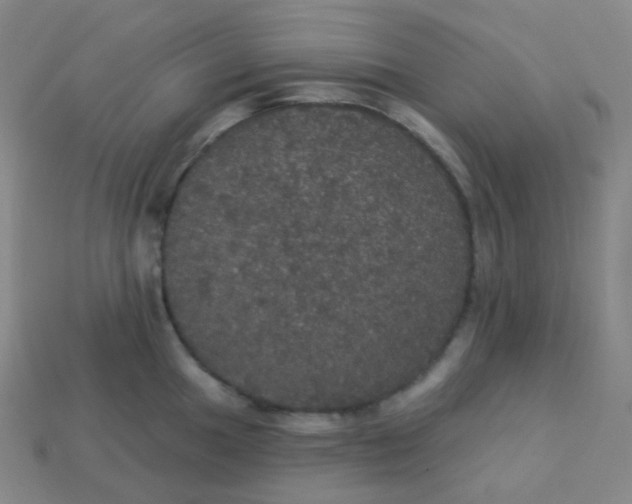 X0000113551049200910091300