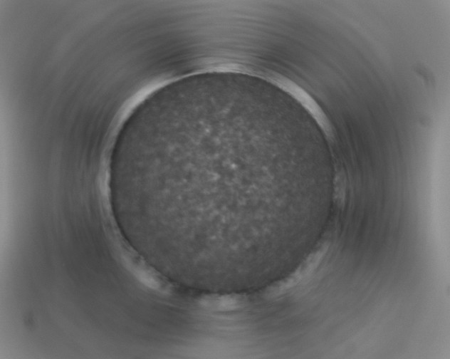 X0000113551051200910091300