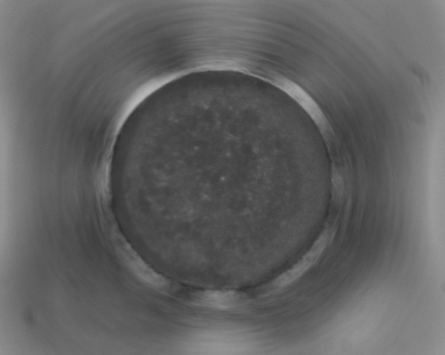 X0000113551052200910091300