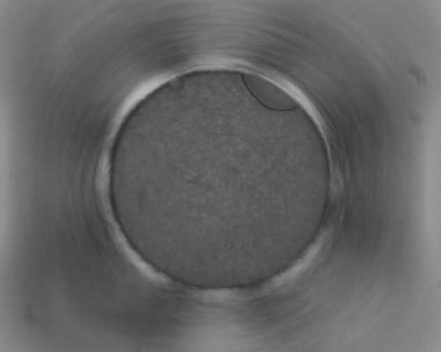 X0000113551053200910091300