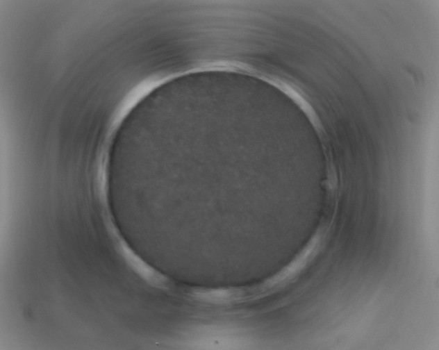 X0000113551054200910091300