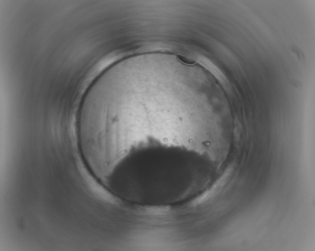 X0000113551055200910091300