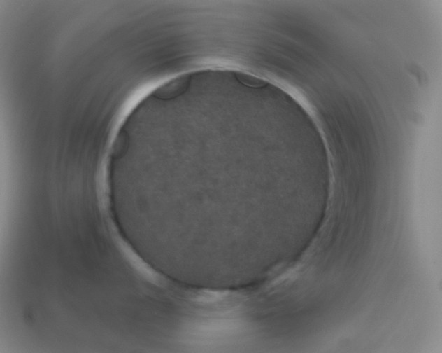 X0000113551056200910091300