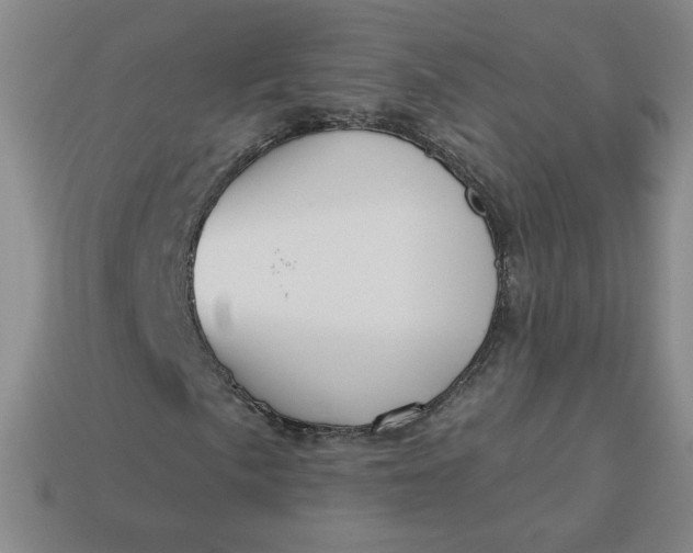 X0000113551057200910091259