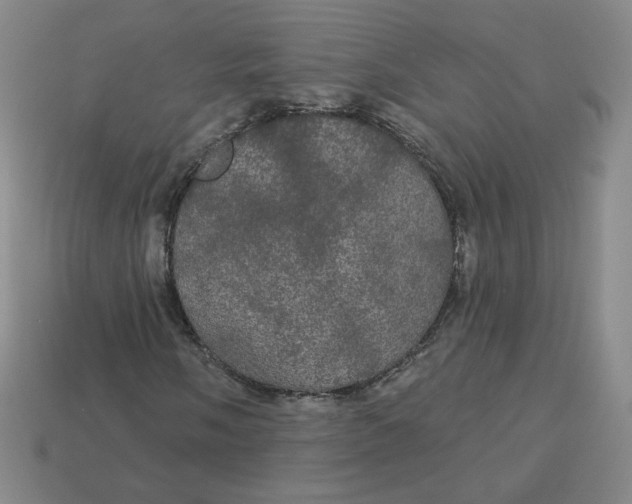 X0000113551058200910091259