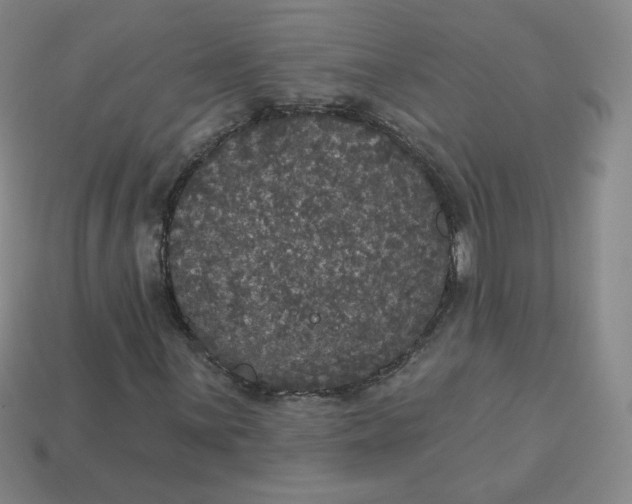 X0000113551059200910091259