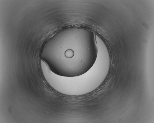 X0000113551060200910091259